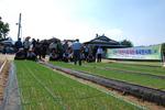양파 기계정식을 위한 육묘 연시회 개최
