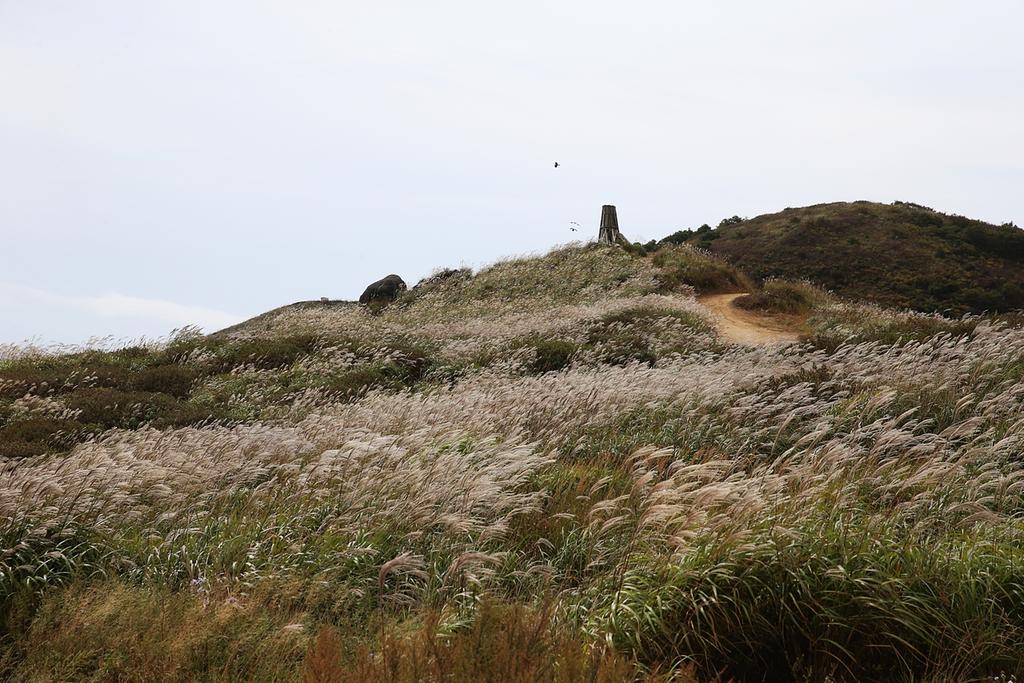 익숙하지 않은 풍경! 황매산 은빛으로 물들다...