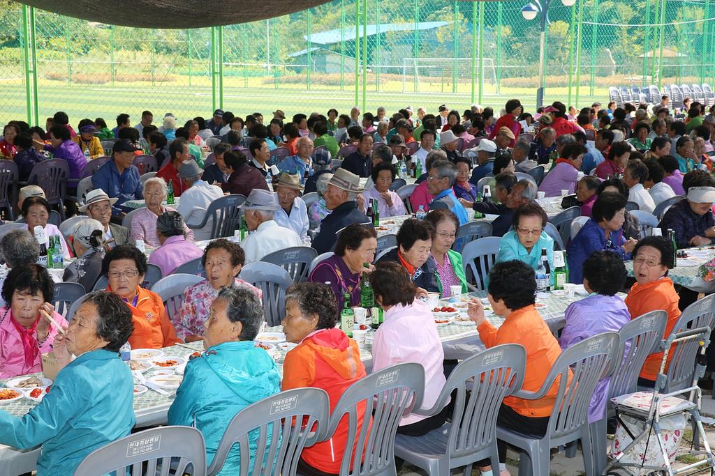 가회면 청년회, 노인의 날 기념 경로잔치 열어