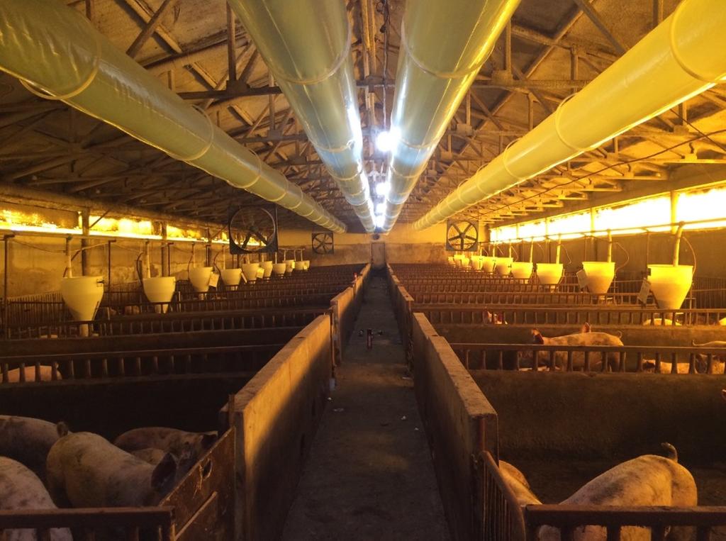 합천군, 스마트한 축산 사양관리로 원가절감 및 경쟁력 강화