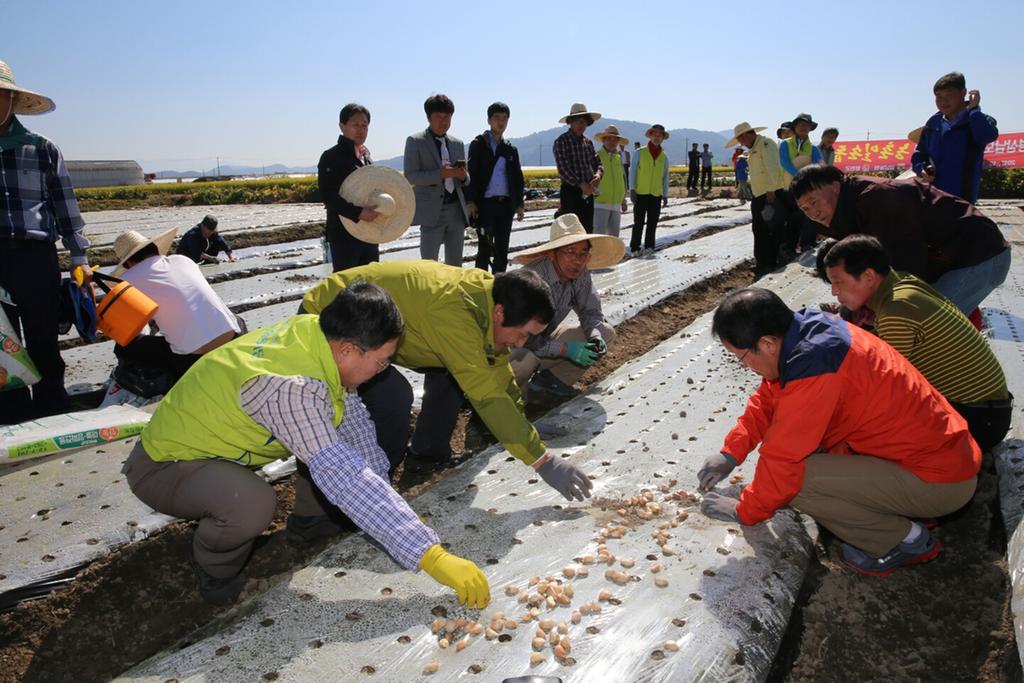 홍준표 지사 합천에서 농촌일손돕기 지원