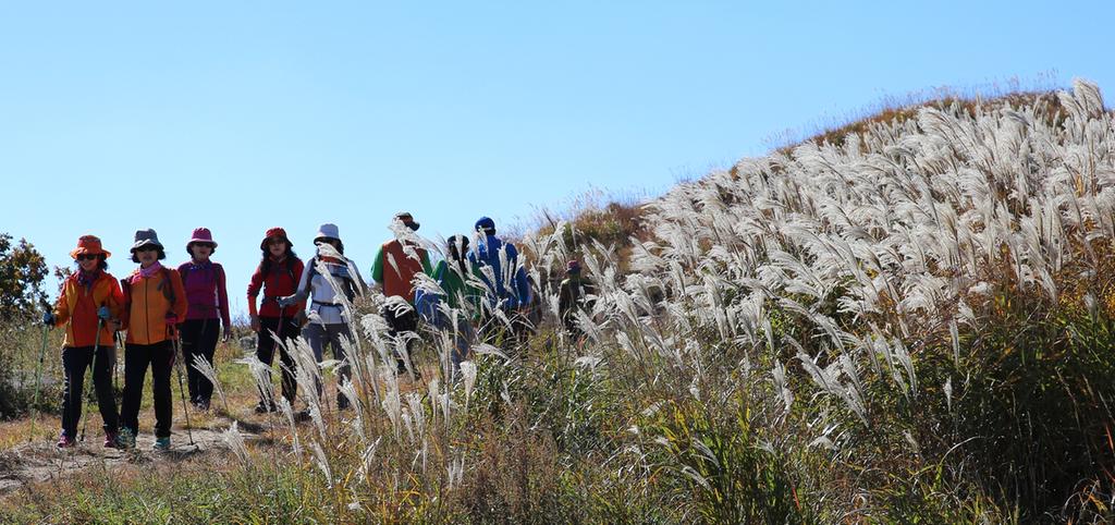 합천! 황매산! 억새평원으로 장관이뤄~ 