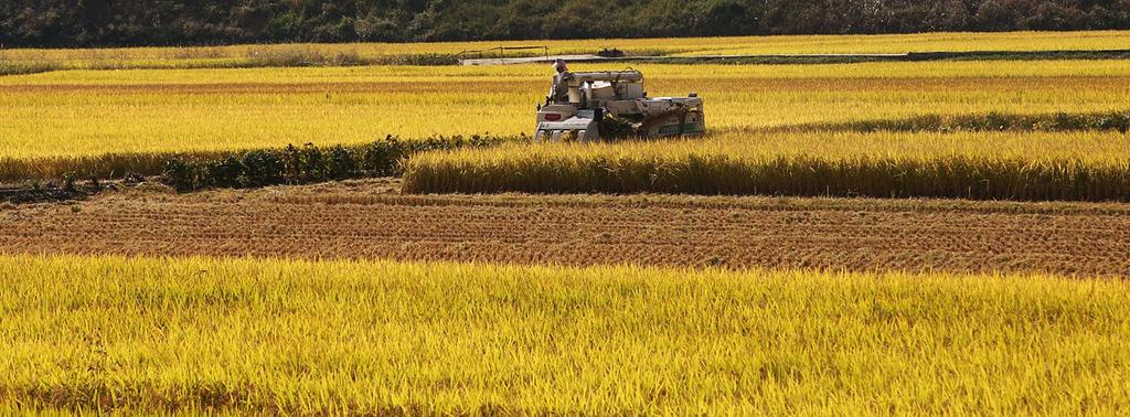 합천군, 들녘경영체 육성으로 글로벌 경쟁력 제고