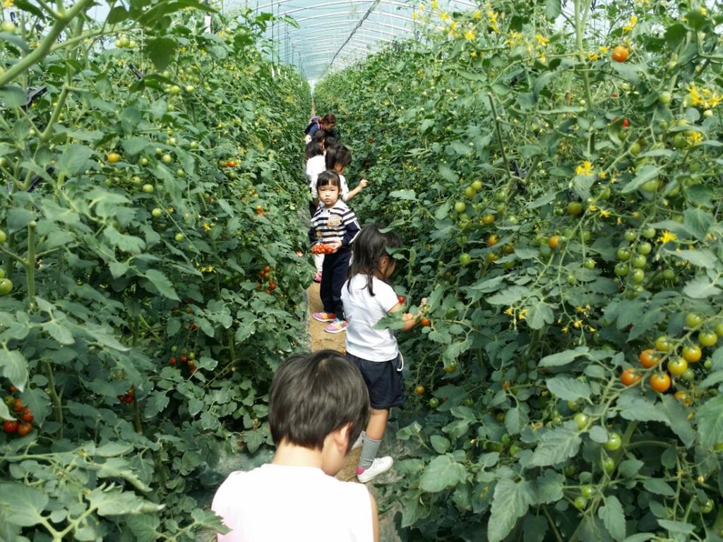 합천군 2016년 친환경농업기반구축사업 대상자 선정