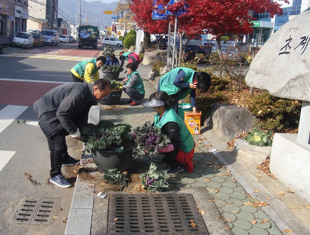 초계면 소재지 중앙로 등 화분 새 단장 