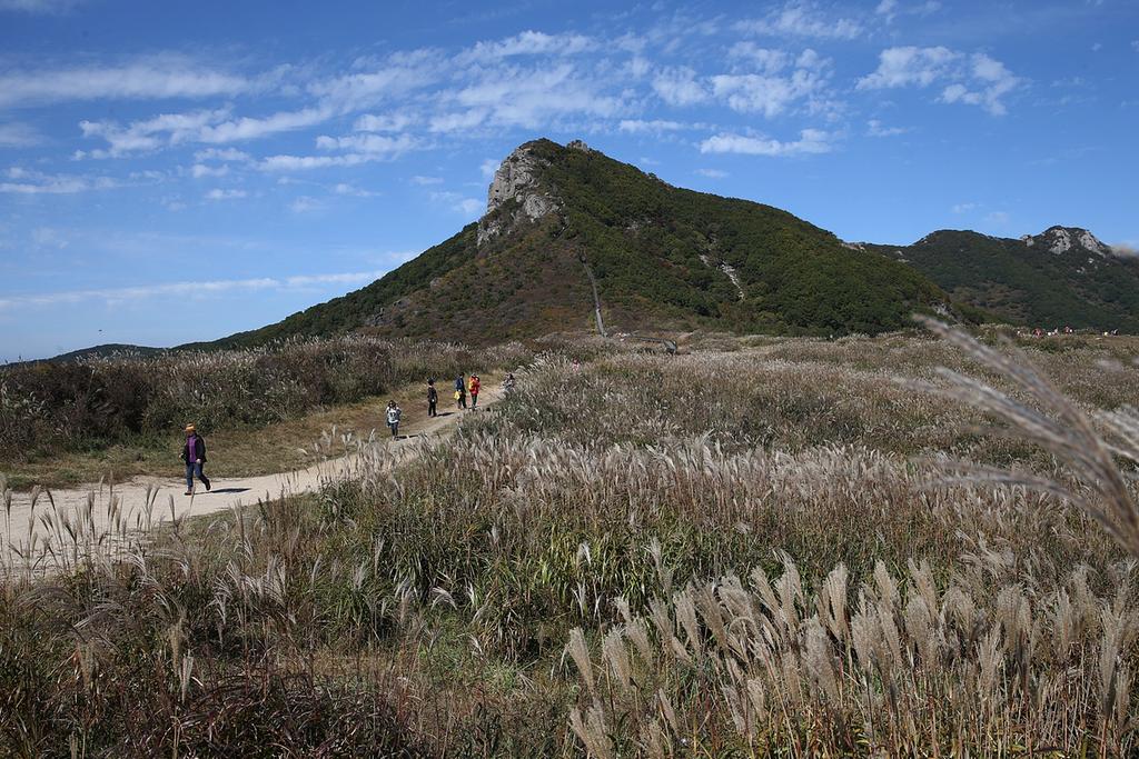 황매산 가는길.. 교통체증 해소로 관광객 발길 가벼워 질 듯
