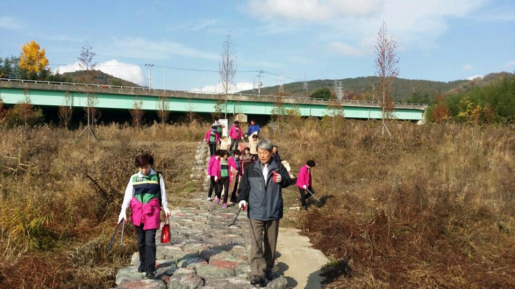 합천읍 하천쓰레기 정화활동 실시