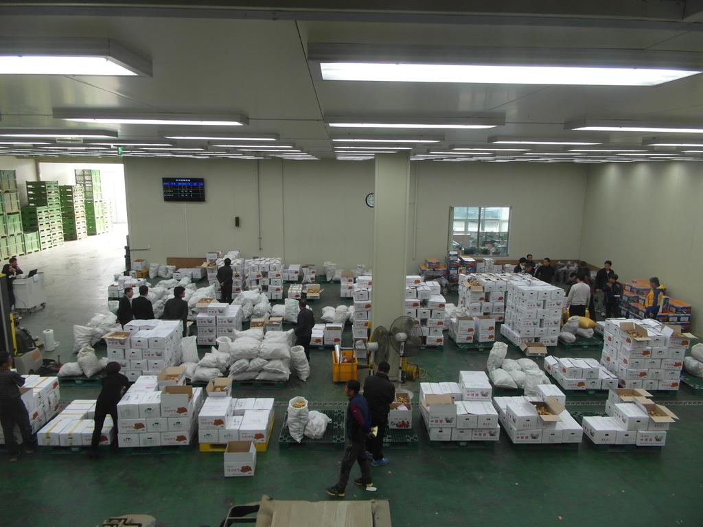 합천유통(주) 농산물 산지경매장 인기리에 운영 중