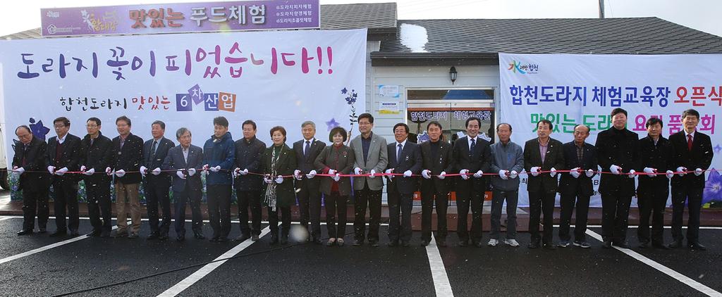 6차산업 수익모델「합천 도라지」건강식품으로 각광  