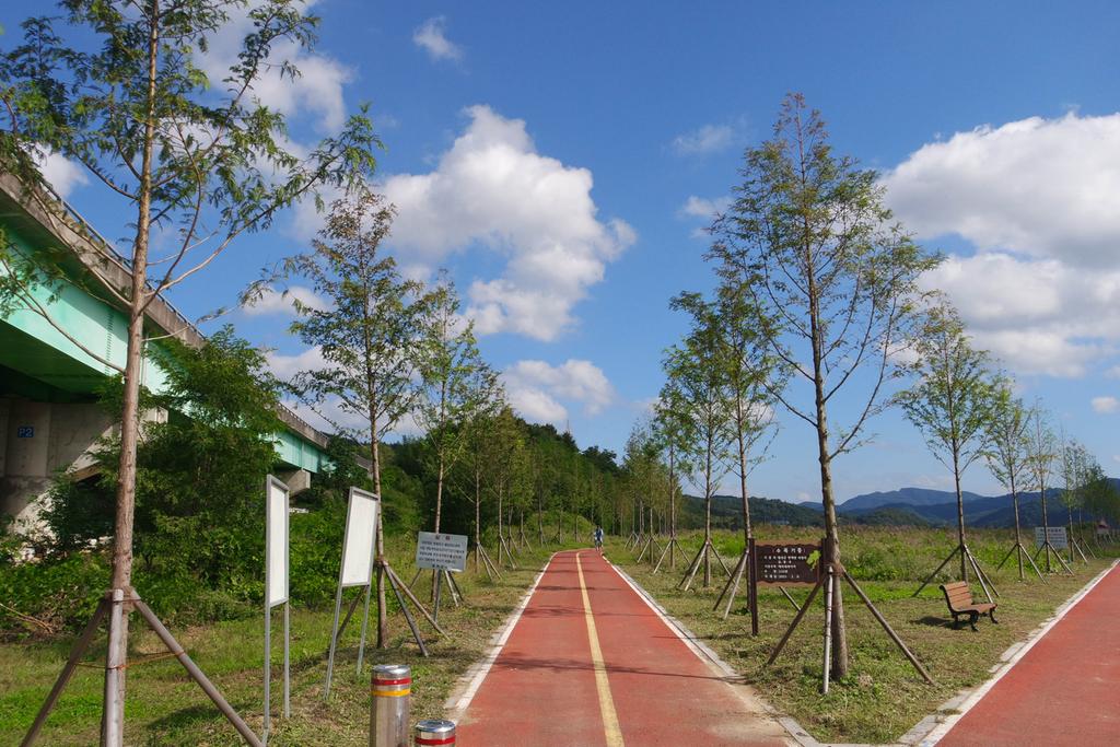 합천군, 메타세콰어 기증받아 메타숲 만든다. 