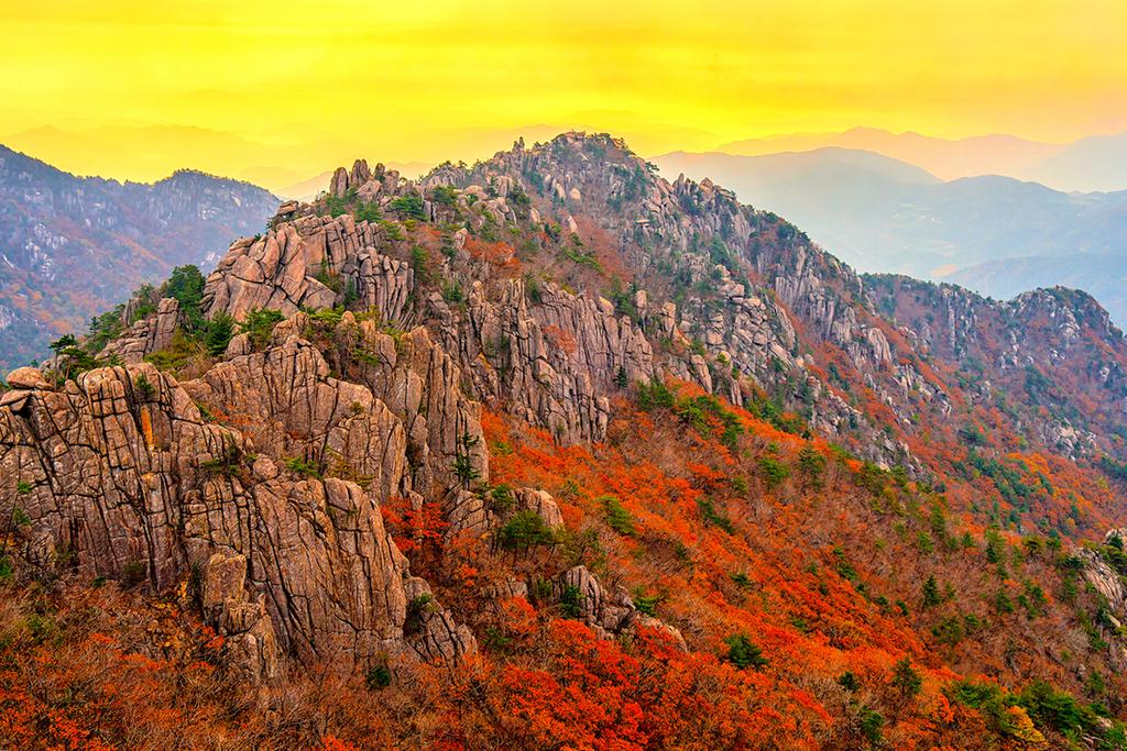 합천군청 서정철 사진작가, 군 홍보 역할 세계무대로 펼치다..