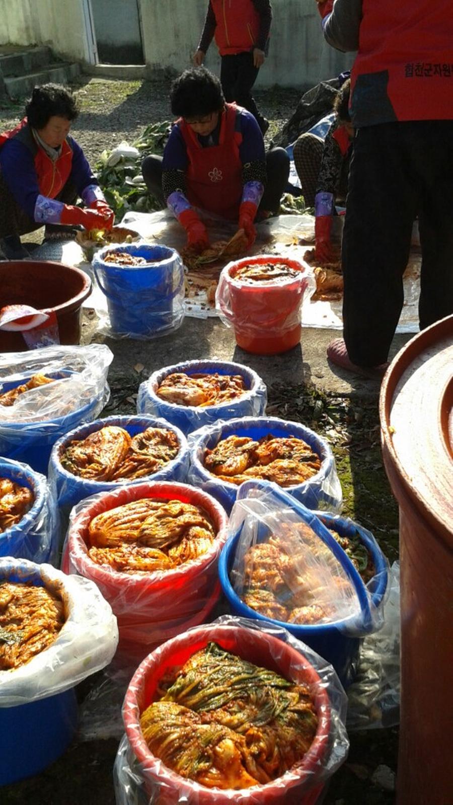 쌍백면 자원봉사회 김장김치 나눔 봉사활동 펼쳐