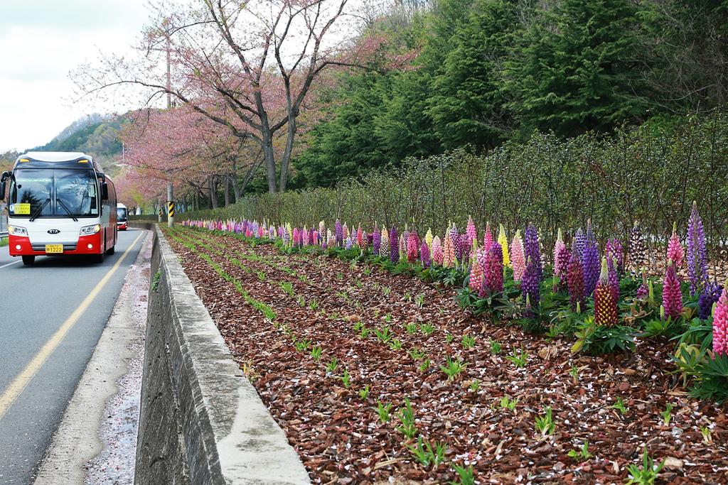  합천군 녹지조경 최우수기관 선정