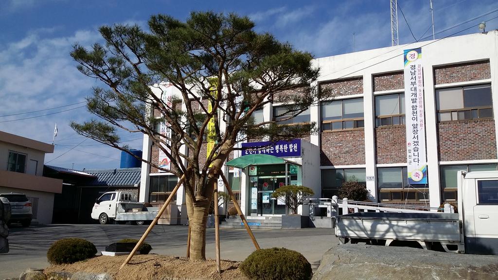 쌍책면 和合松 식재