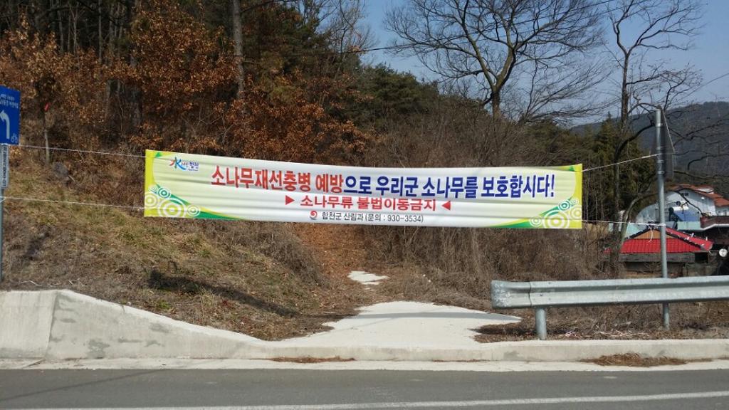 합천군 산림, 산림병해충 항공예찰 실시