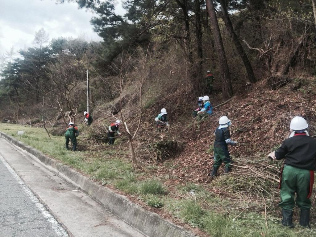 ‘공공산림 가꾸기’녹색일자리 사업 시행