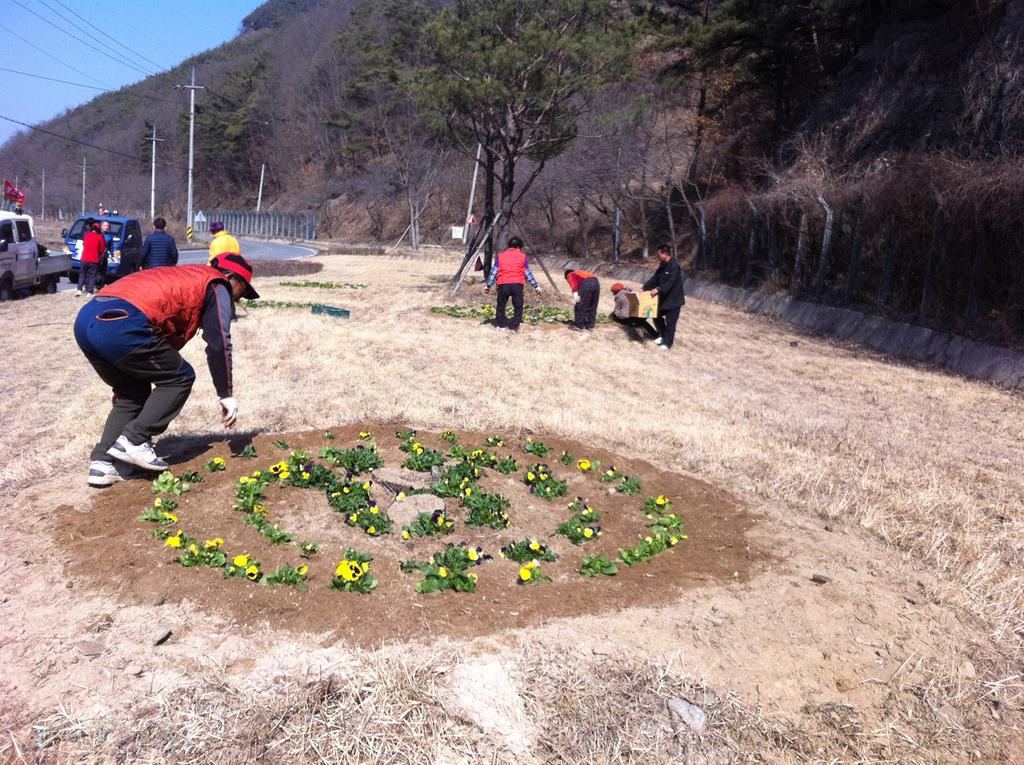 덕곡면 소공원 등 꽃심기 운동 전개 