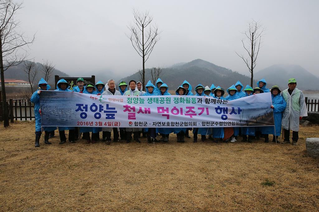 합천 정양늪 겨울 철새들의 천국