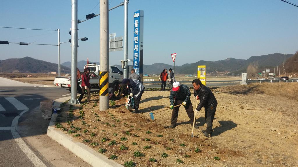 율곡면, 공한지 활용 봄맞이 꽃동산 조성 한창