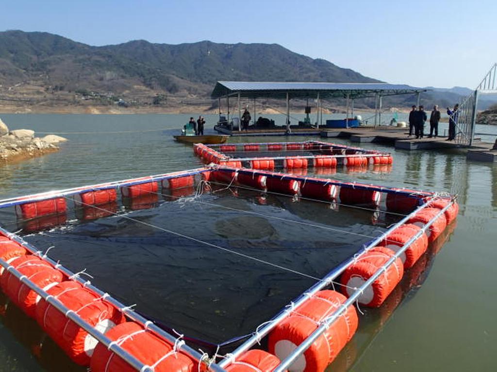 합천군, 내수면 빙어 자원 증대시킨다!