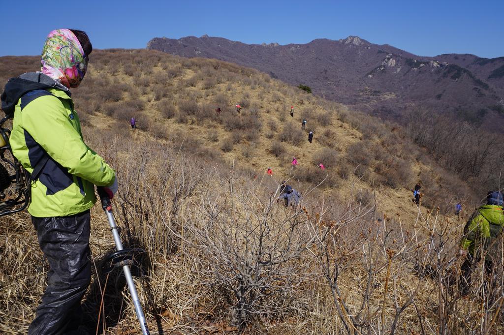 합천군 황매산 억새옷에서 철쭉옷으로 봄옷 갈아입기