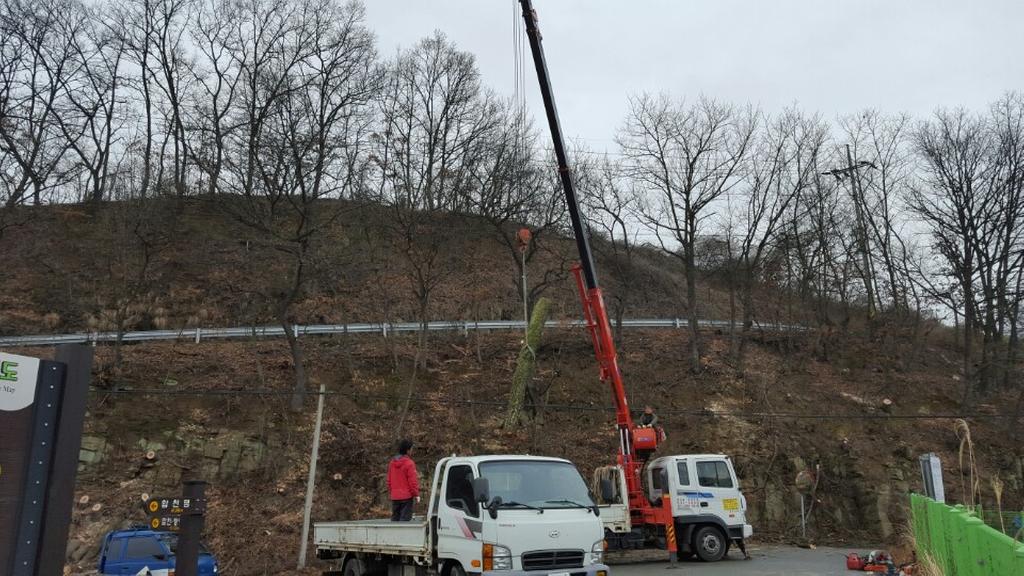 쌍책면 2016 재해위험고목정비사업 완료