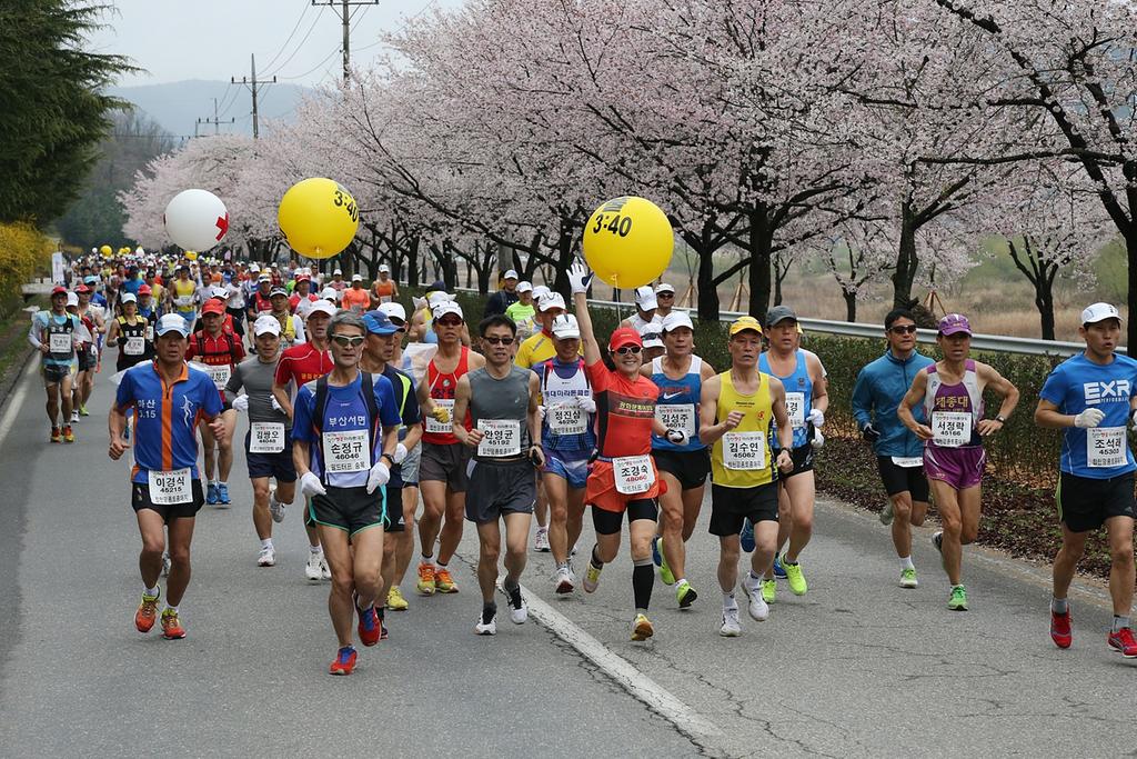 명품마라톤축제! 100리 벚꽃길을 달려보자! 