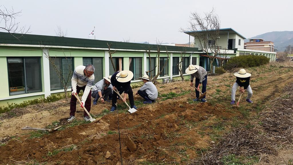 원경고등학교 텃밭 가꾸기 체험 실시 