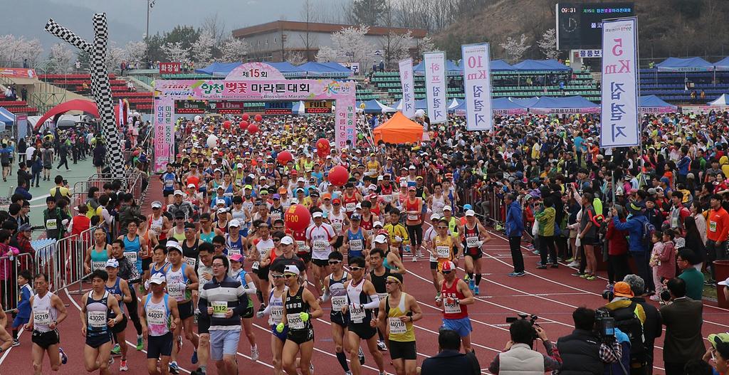 제15회 합천벚꽃마라톤대회, 벚꽃으로 환상을 이루다