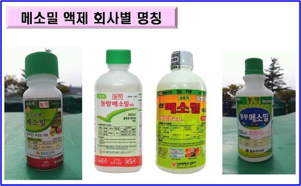 4월 한달간 ‘메소밀’고독성 농약 일제수거 보상!