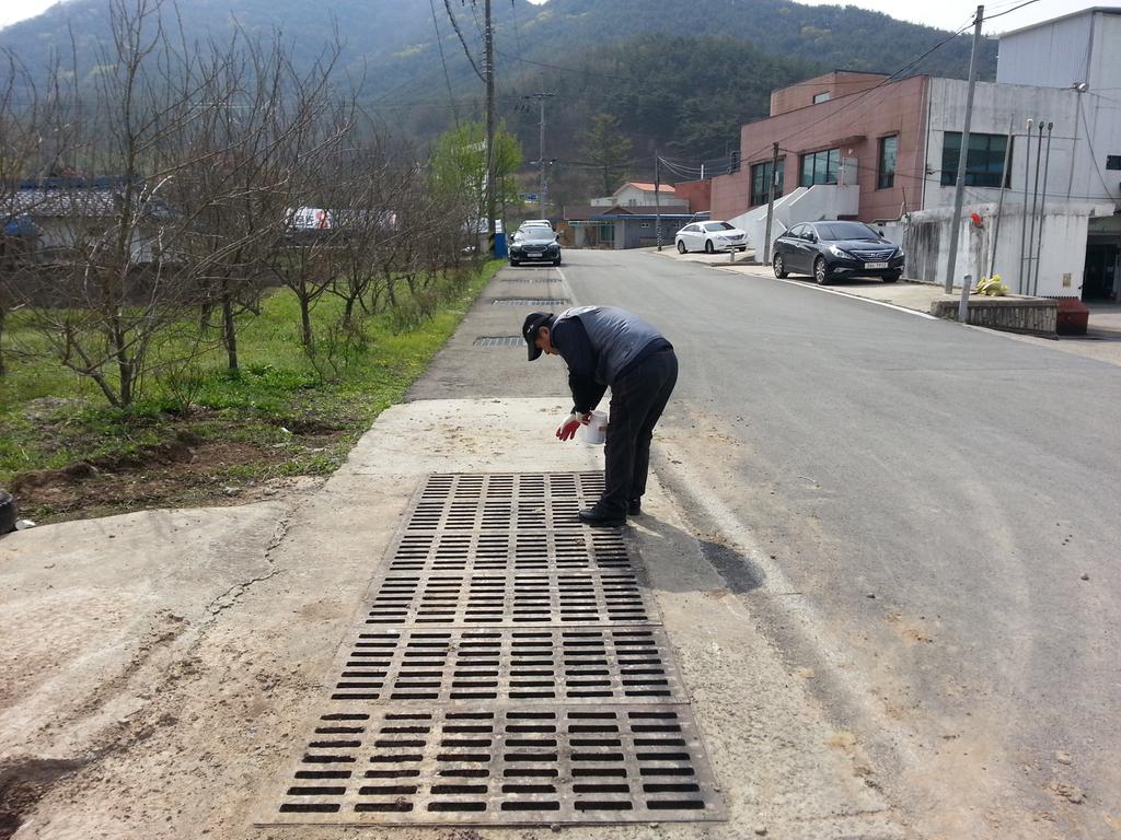 지카바이러스 대응, 모기유충 일제 방제 실시