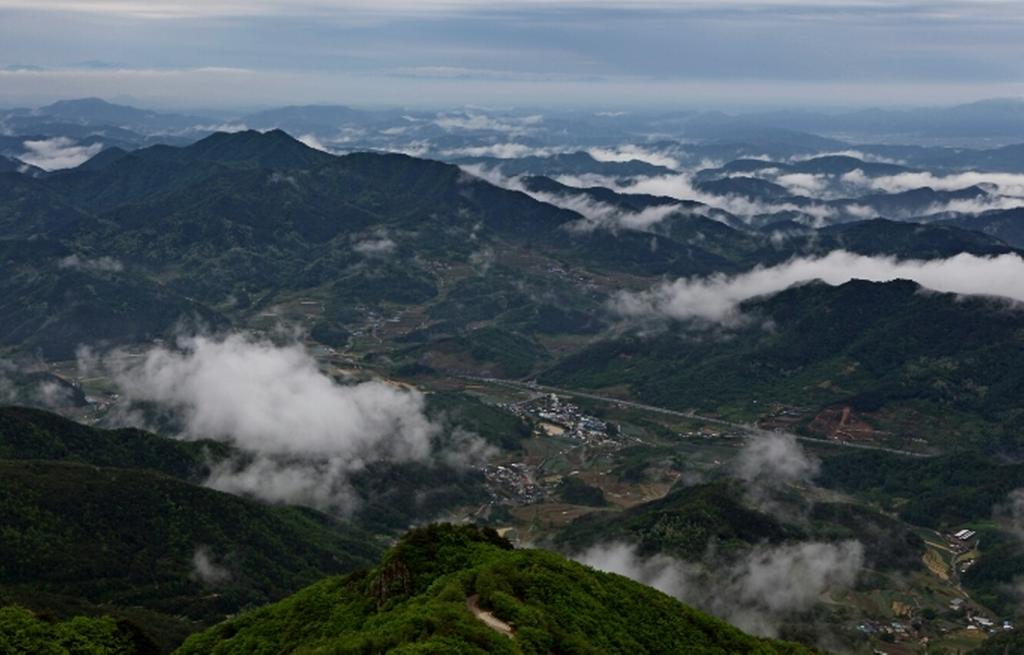    한국표범 마지막 서식지 