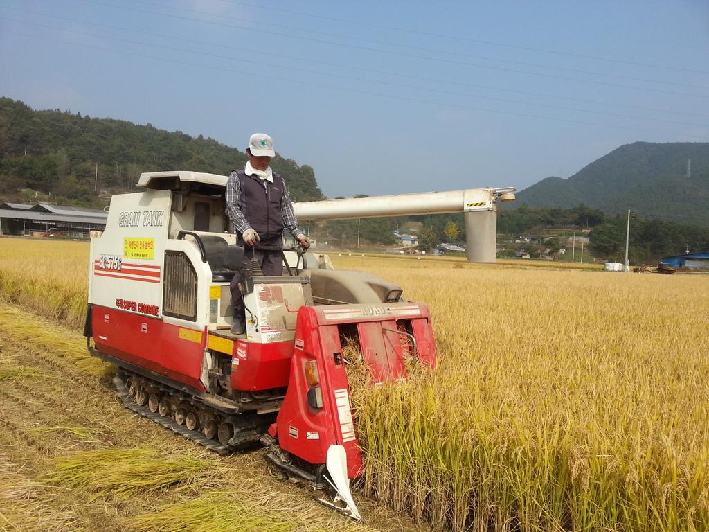 합천군, 벼 보급종 채종단지 운영