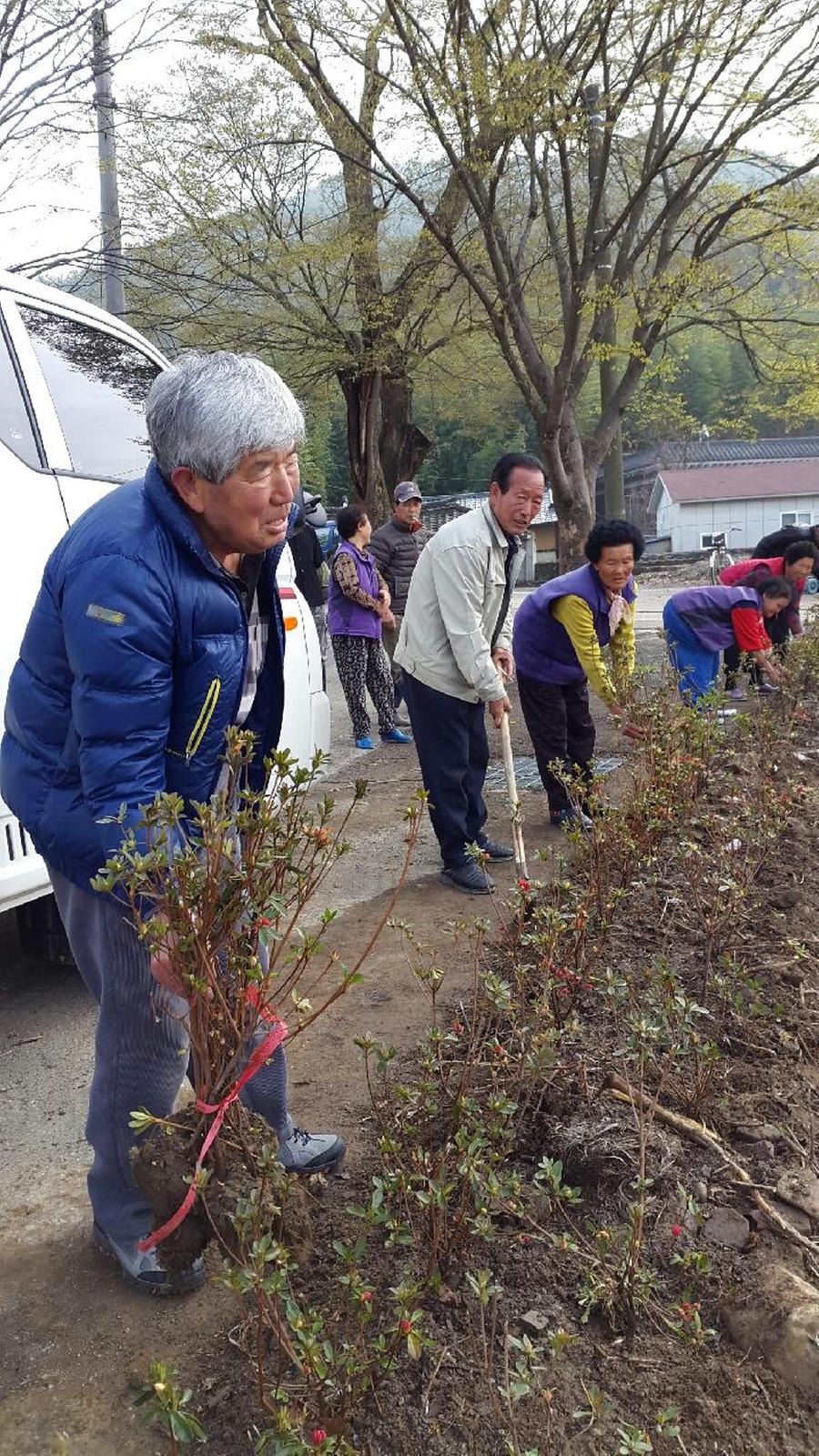 합천 쌍책면 신촌마을 아름다운마을가꾸기 사업 완료