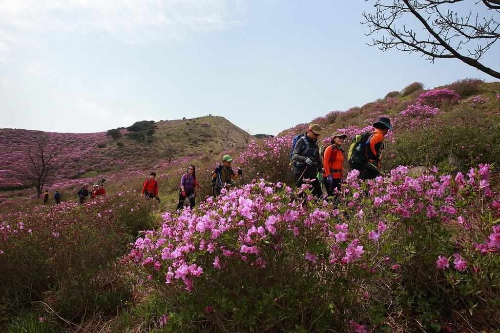 가정의 달 5월! 황매산 철쭉명소로 봄나들이 초대!