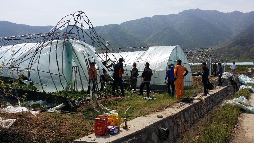 적중면 의용소방대 강풍 피해 복구 구슬땀……