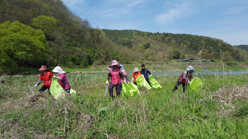 합천군 삼가면 하천쓰레기 집중수거 실시