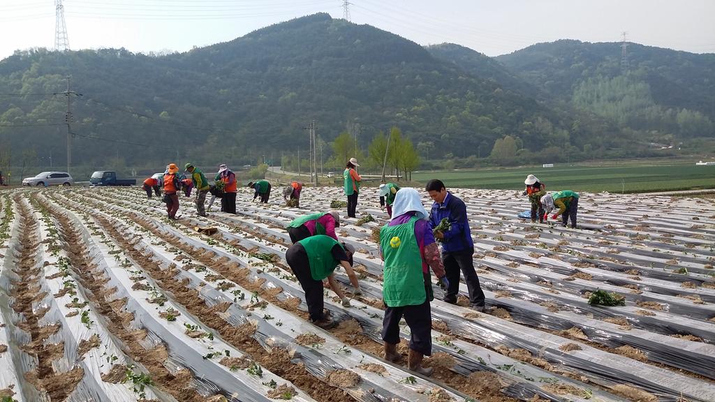 「풍요롭고 살기 좋은 청덕건설」프로젝트!!