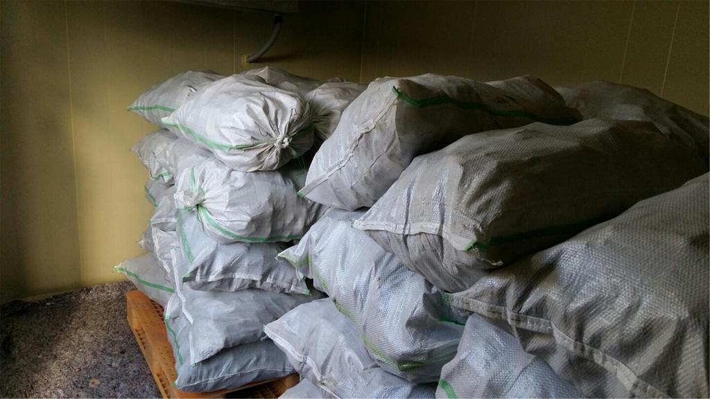 합천군 생강, 새로운 소득작목으로 정착