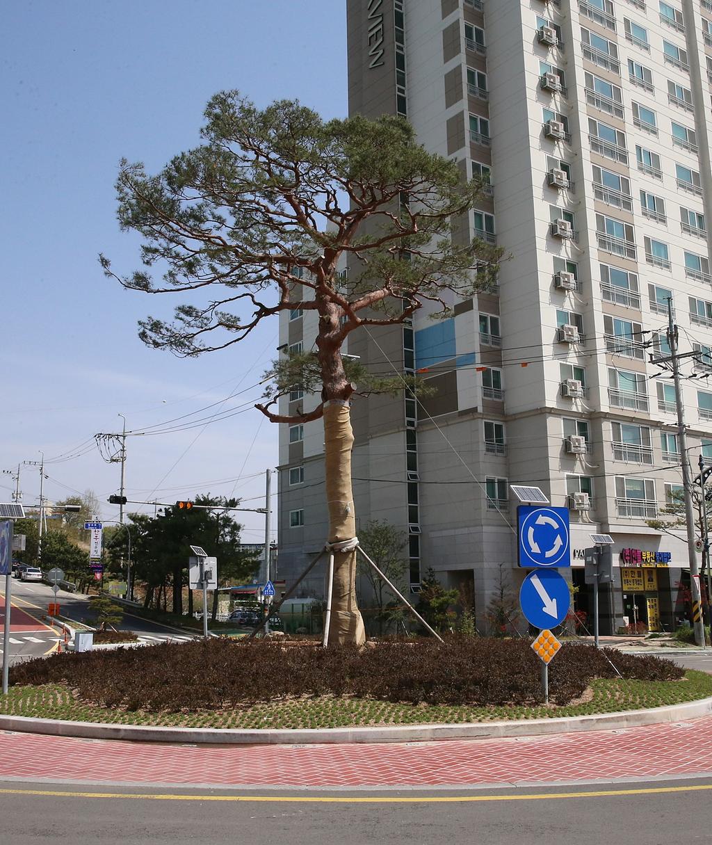 합천군 회전교차로 내 조경사업 호응