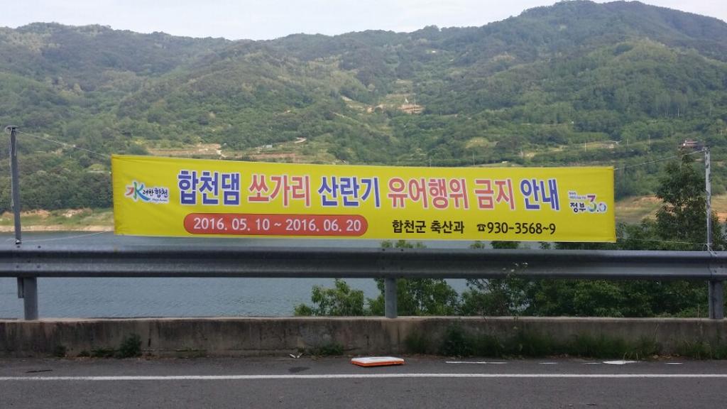 합천군, 쏘가리 금어기 불법 포획 단속 강화한다.