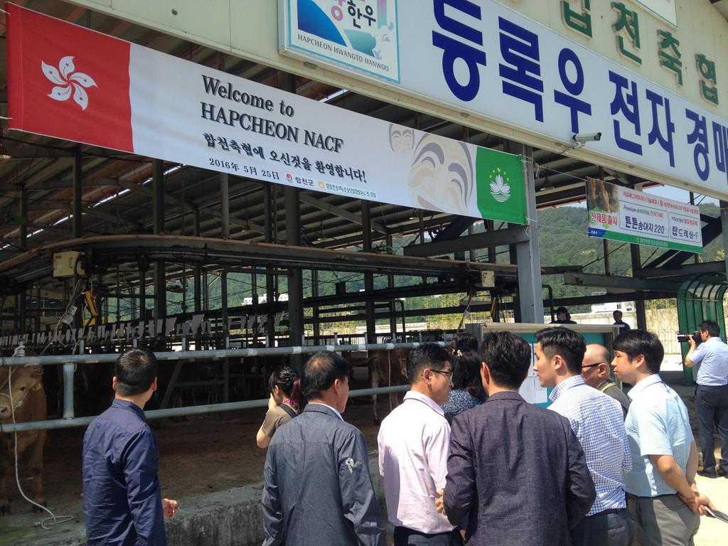 합천황토한우, 수출길에 오르다!!