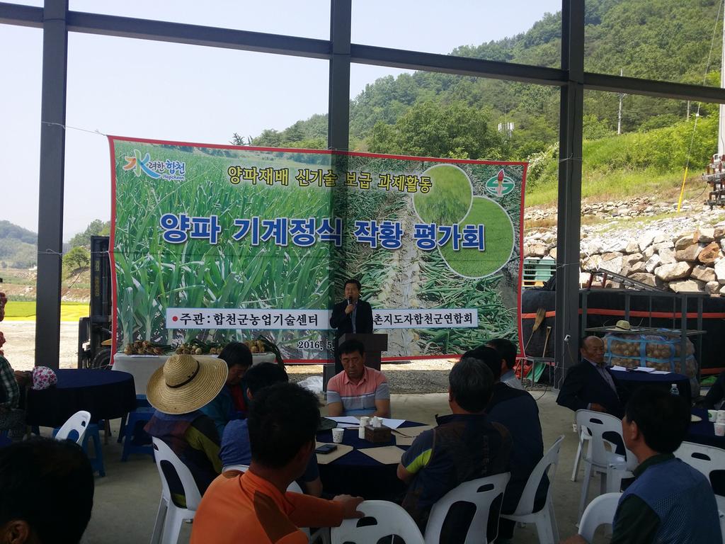 양파 농사 쉽고, 편하고, 빠르게!!