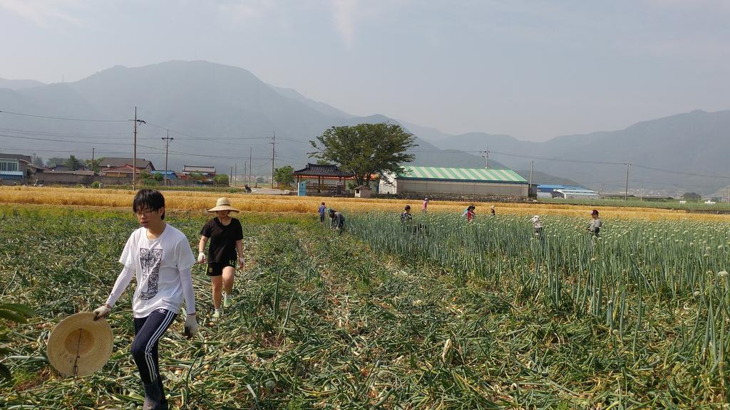 “일하면서 먹는 수박 맛 최고~!!” 원경고 농촌일손돕기