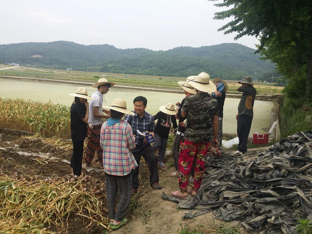 부경대 학생 380명 농촌봉사 활동 합천 재방문!