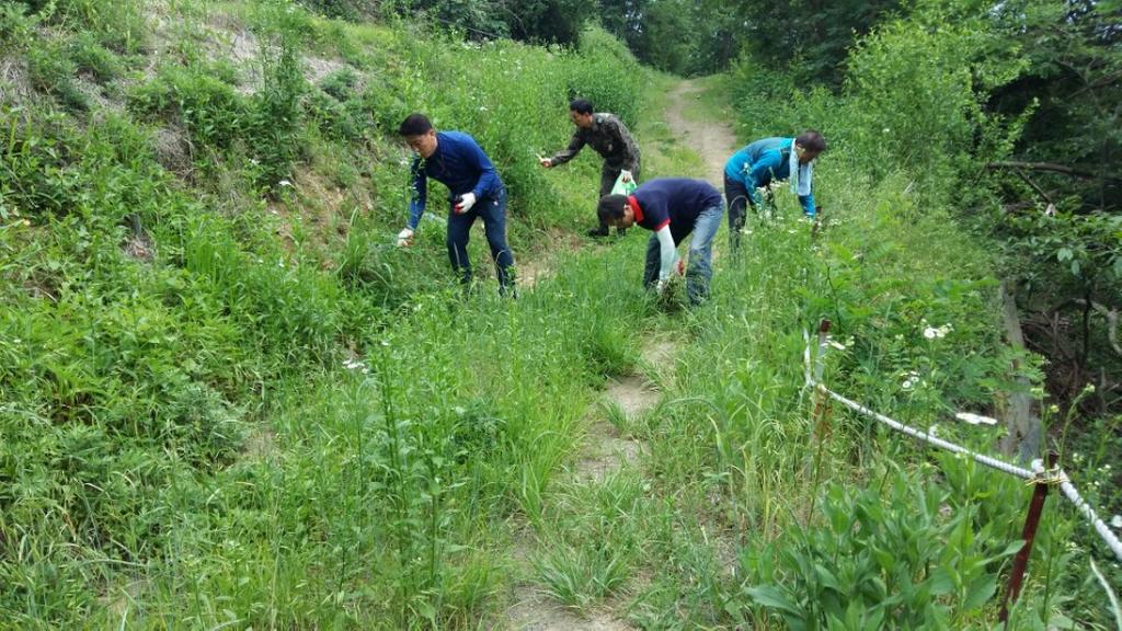합천, 초계면 기관장 단봉산 등산로 정비
