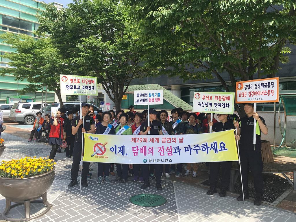 합천군, 제29회 세계금연의 날 거리 캠페인