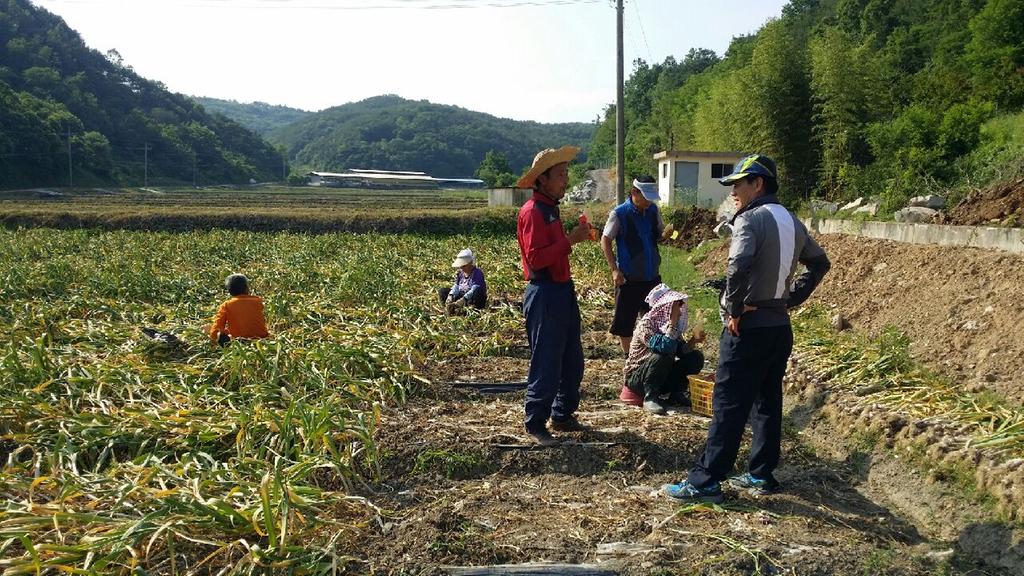 대양면, 영농철 맞아 농가 찾아가 현장행정 전개