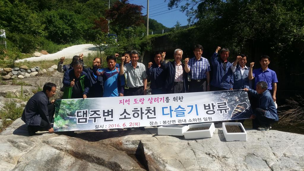 봉산면 합천댐주변 소하천 다슬기 방류