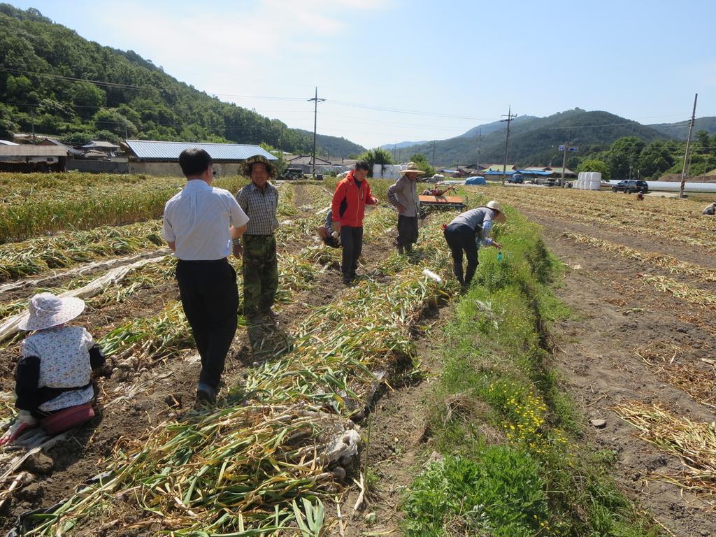 합천군 덕곡면, 바쁜 농사철 영농현장에서 주민과 소통 
